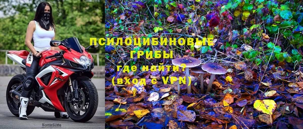 стафф Сясьстрой
