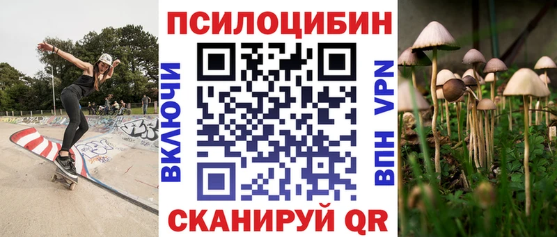 mega tor  Шимановск  Галлюциногенные грибы ЛСД 