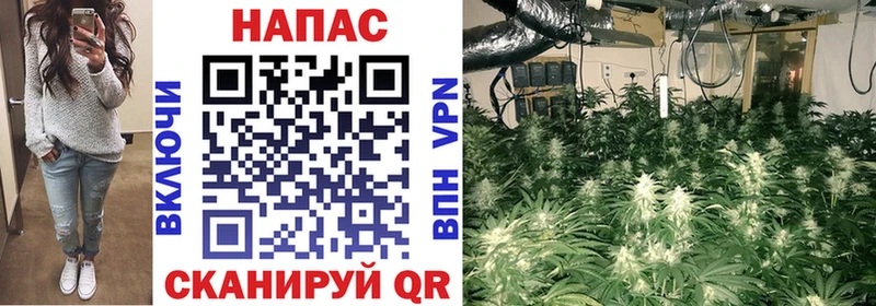 МАРИХУАНА Ganja  Шимановск 